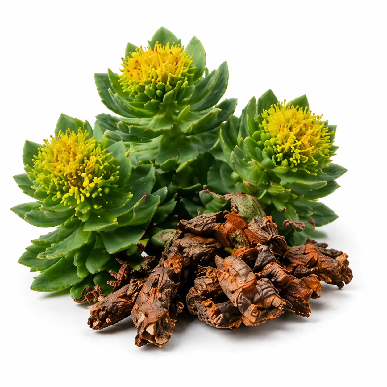 Natural Cognitive Compounds